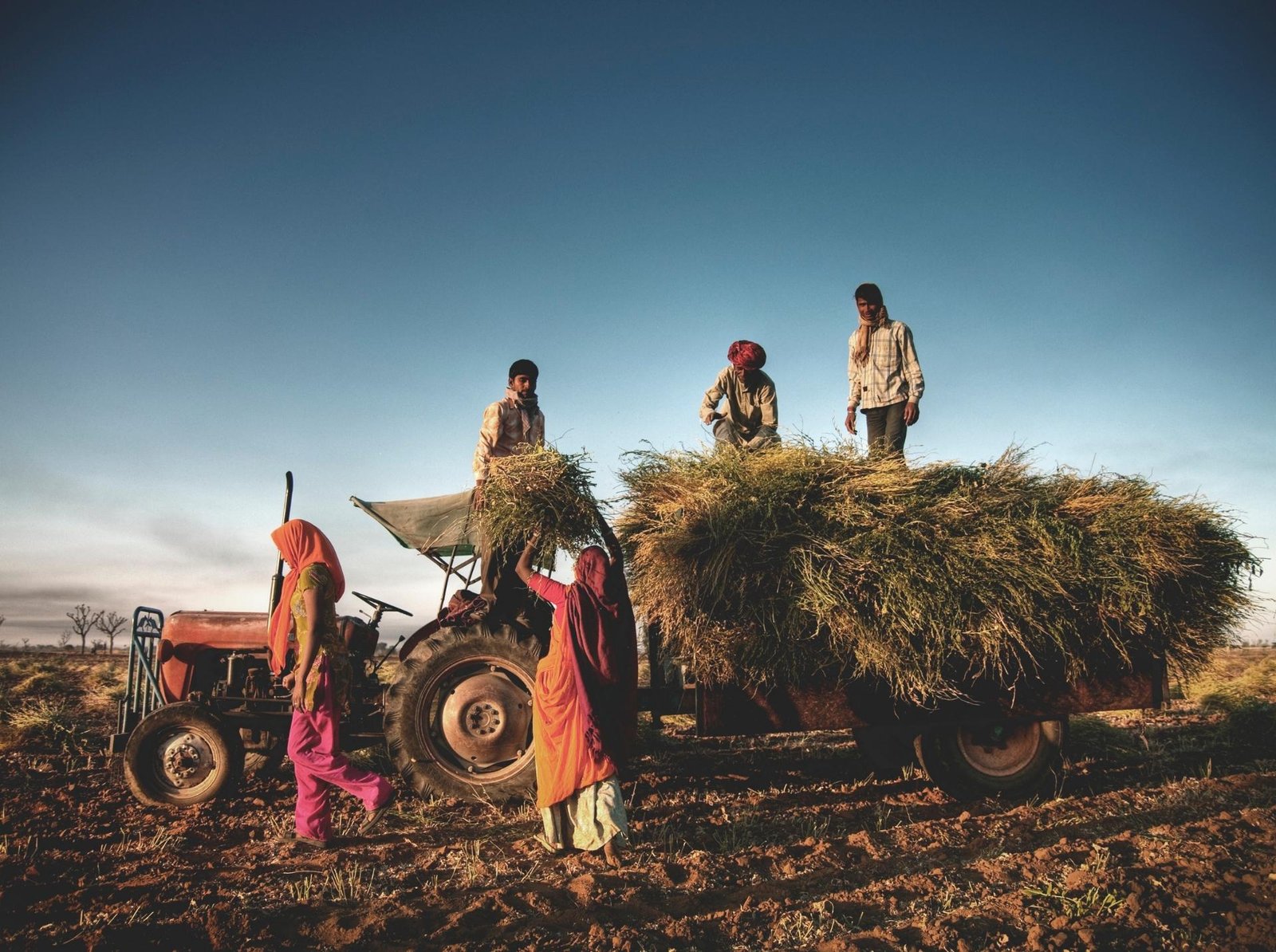 Global Sourcing & Procurement