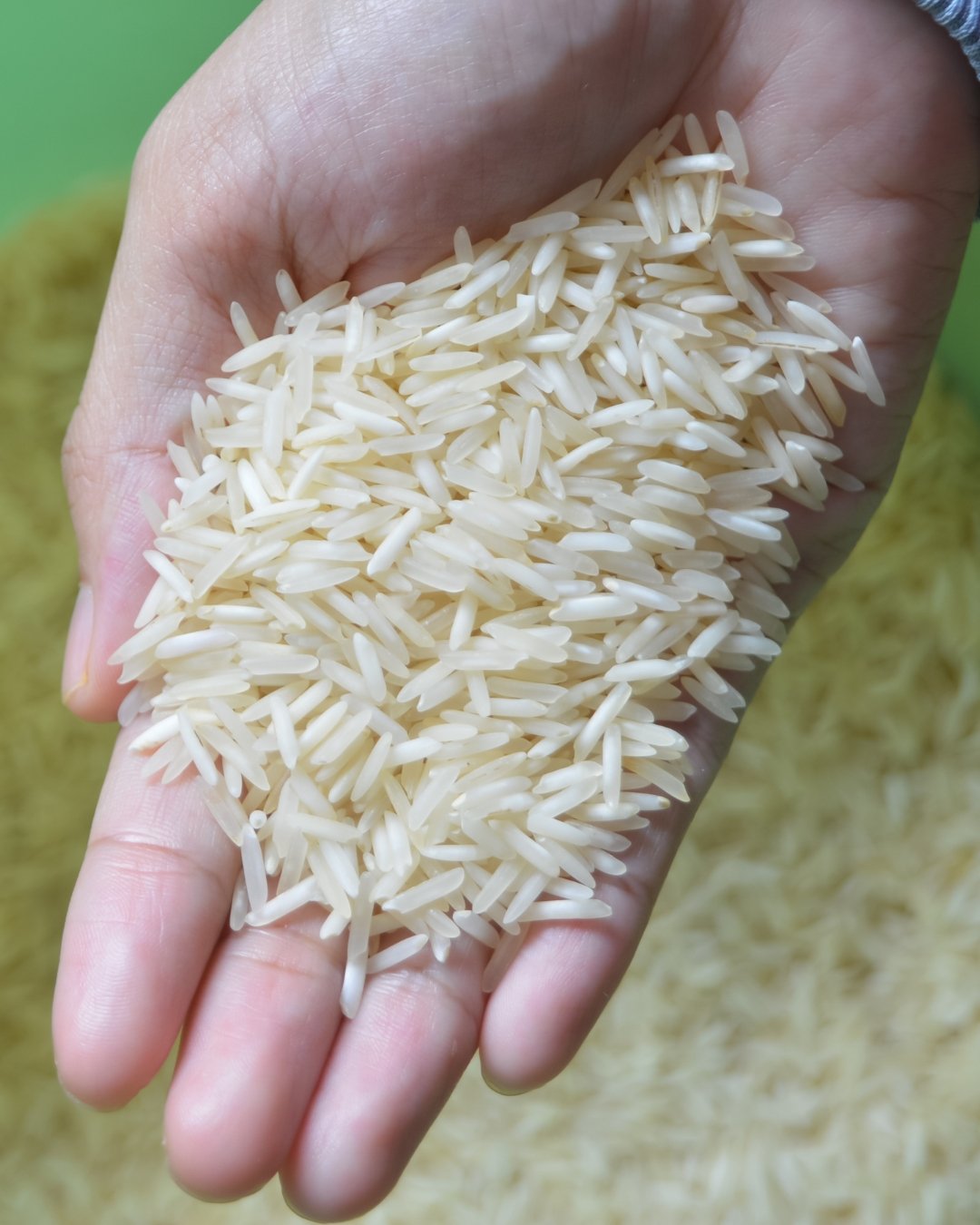 From India’s Fields to Global Markets (1)