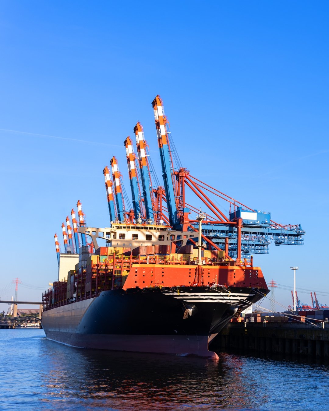 From India’s Fields to Global Markets (2)